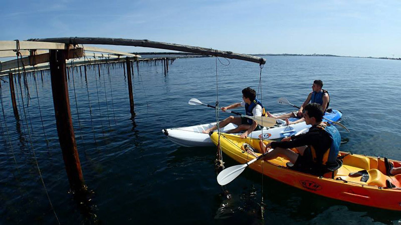 kayakmed-sete-kayak-mer-paddle-balade-guidee