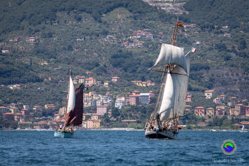 pandora-rc542900-18954548 pandora-rc542900-18954548