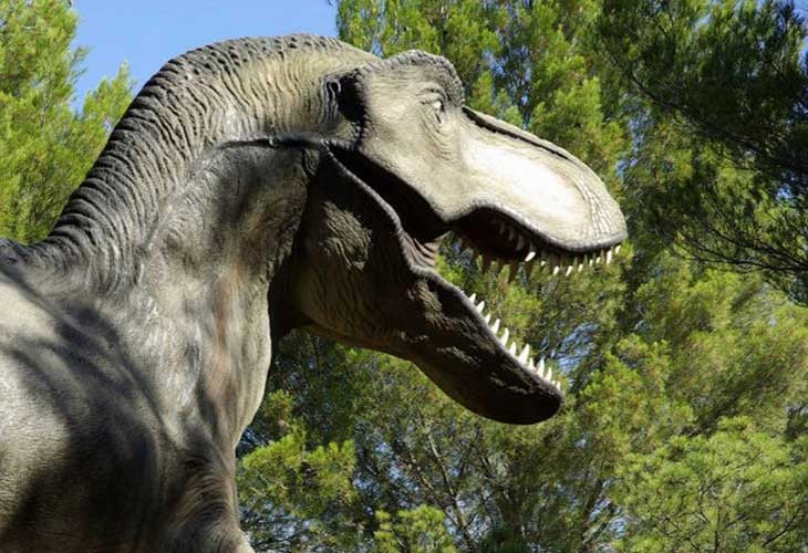 parc-dinosaures-4-2186339