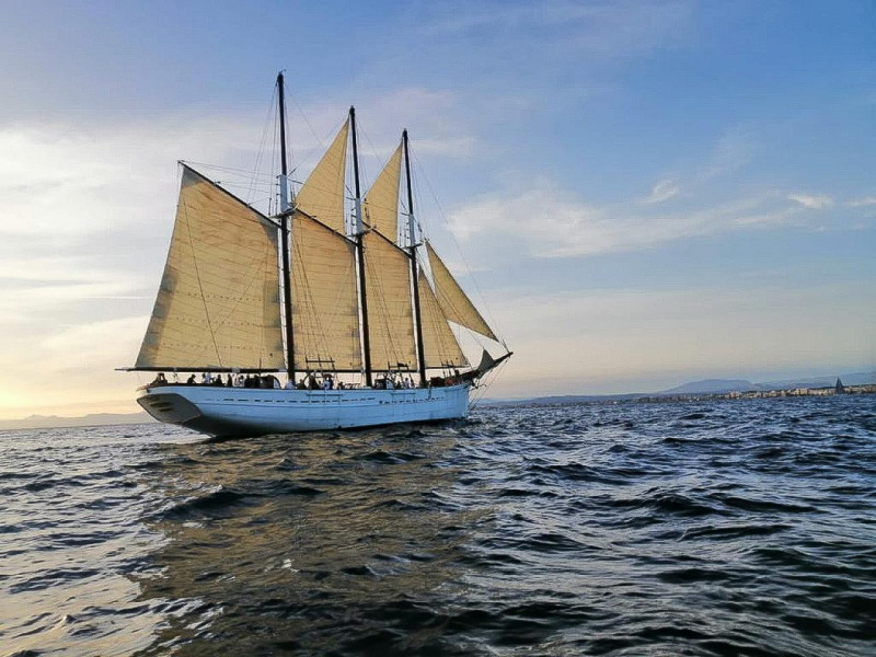 pascual-flores-1666612656353-18954528 pascual-flores-1666612656353-18954528