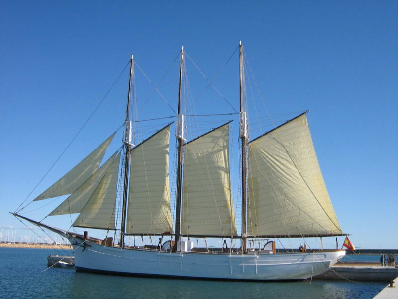 pascualflores-2-8026653