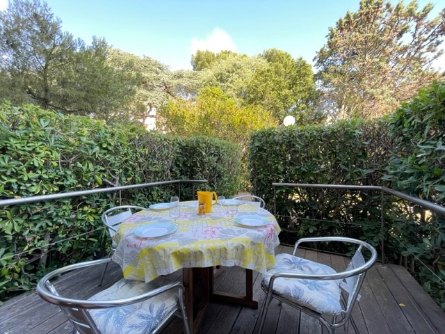 phototerasse phototerasse