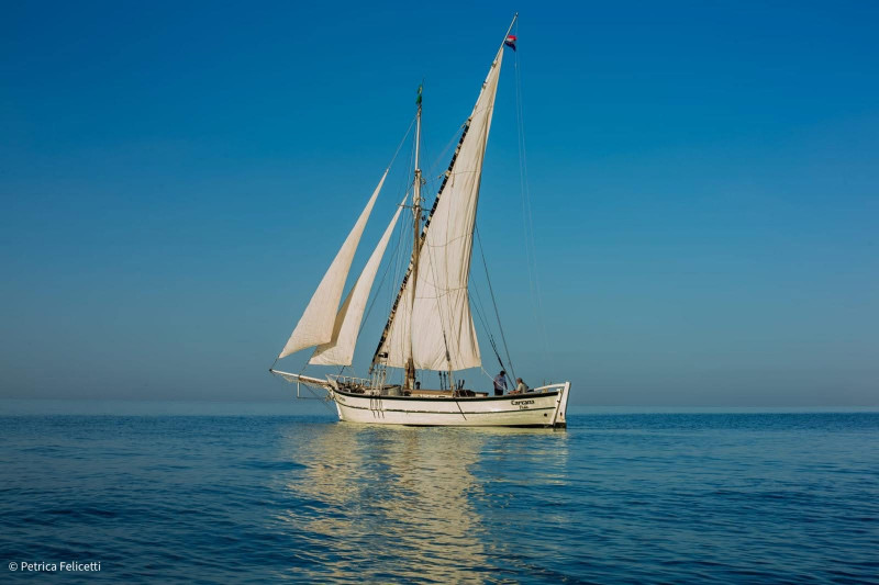 tartana-4648-18982383