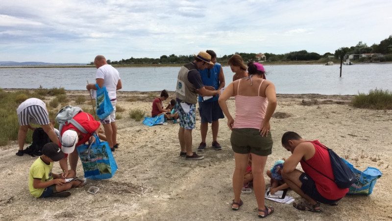 thau-oasis-de-vie-lpo-occitanie-8671618