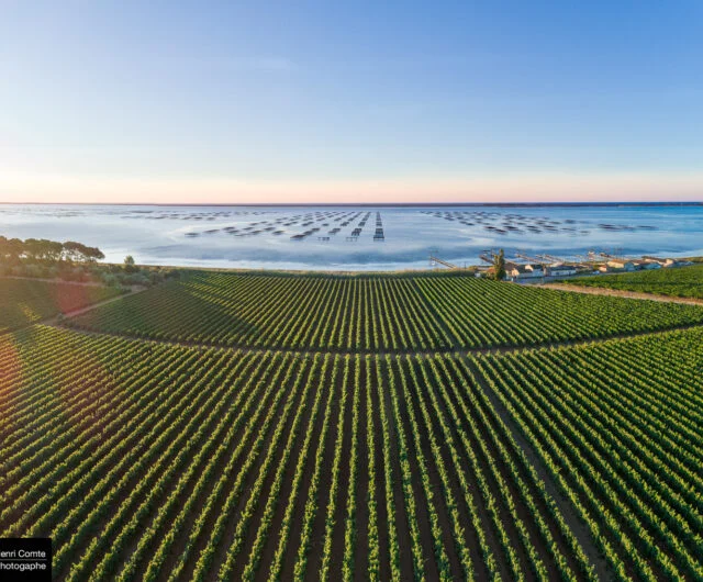 VIGNOBLES EN SCÈNE : LES JOURNÉES VIGNOBLES & DÉCOUVERTES