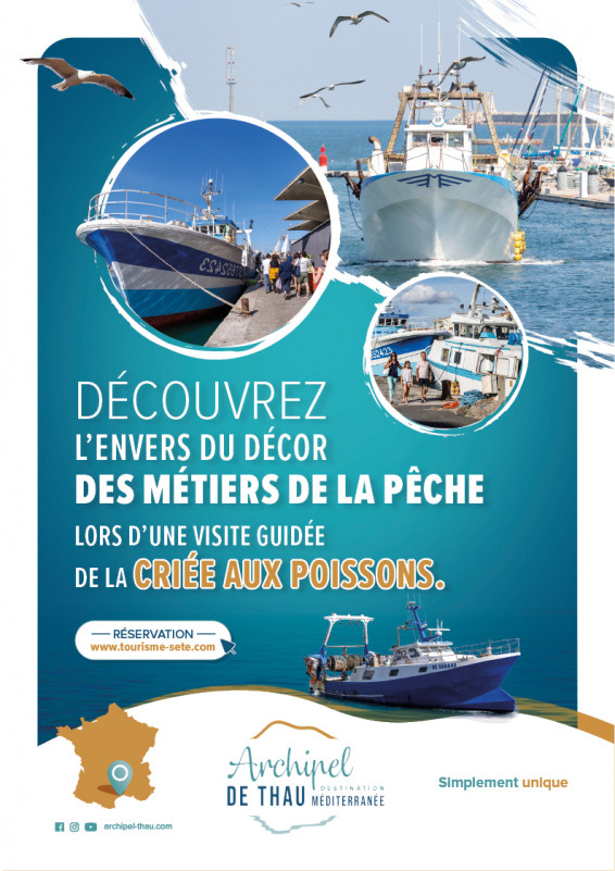 visite-guid-e-cri-e-14947190