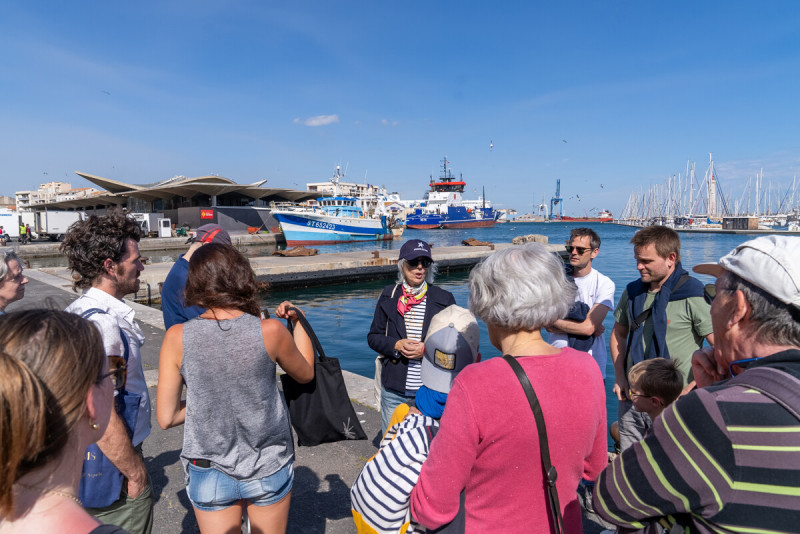 visite-guidee-de-la-criee-m-ricard-ot-thau-29475-1200px-14525809