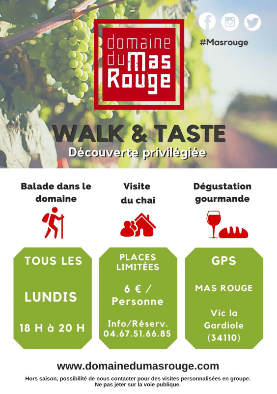 walk-taste-2022-8540544