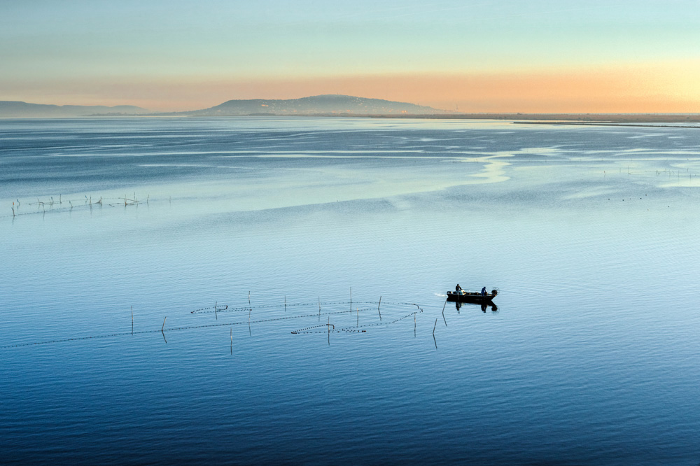 sete-lagune-thau - © C.Cruels