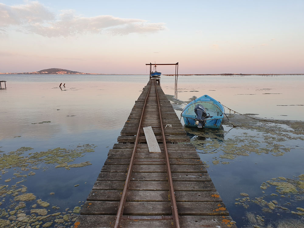 sete-lagune-thau - © F. Ambrosino