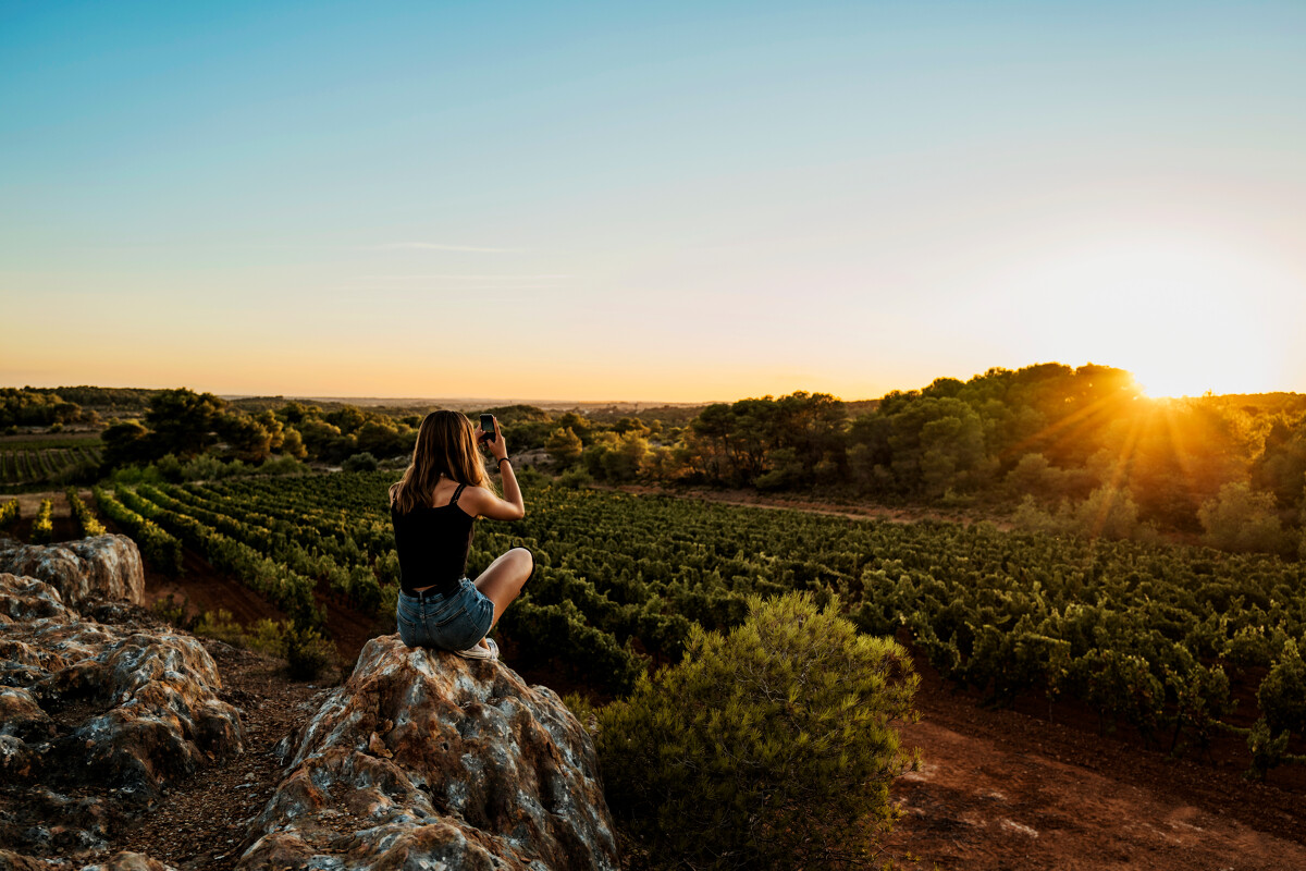 Un vignoble de plain-pied avec la Méditerranée - © Office de Tourisme Archipel de Thau